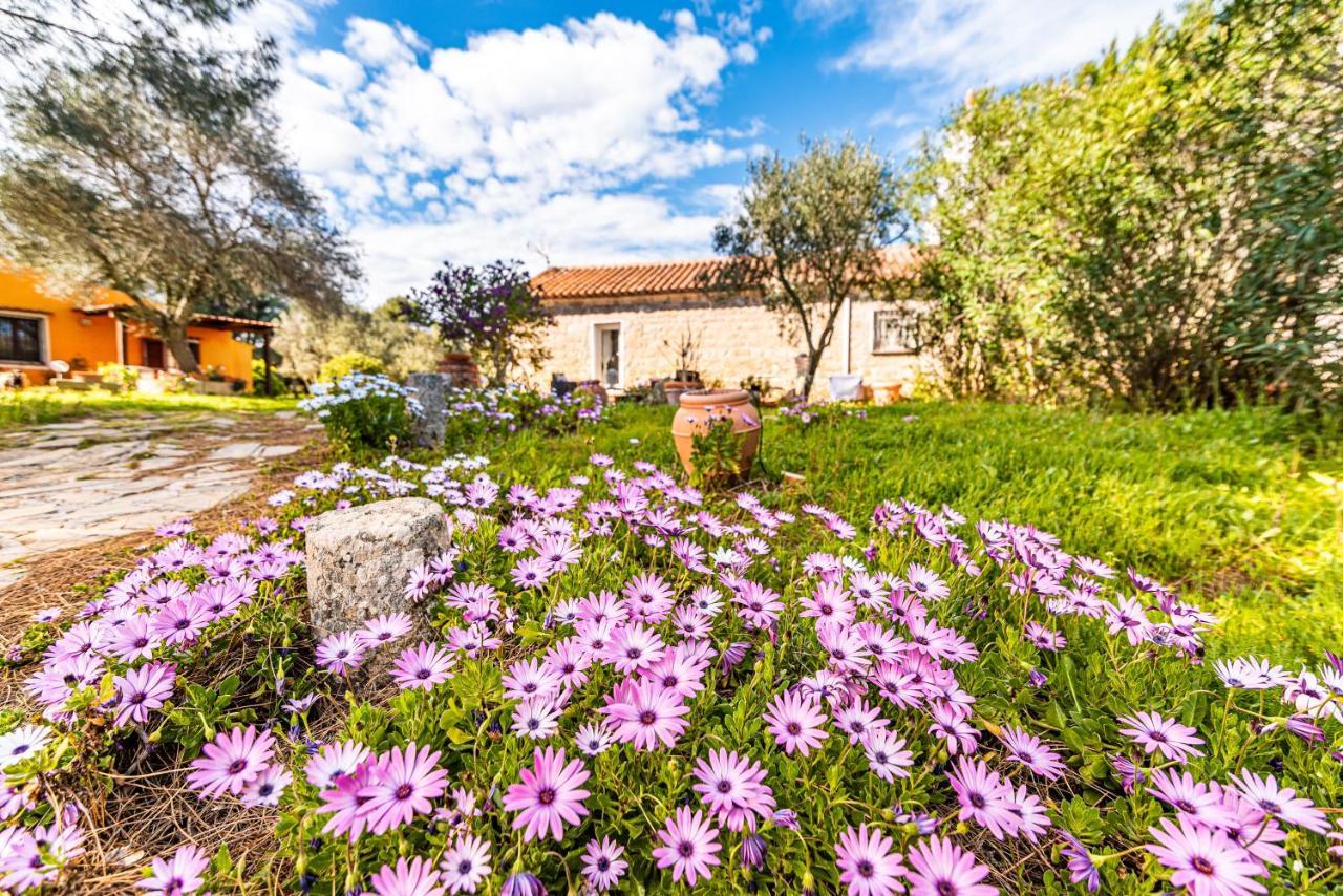 Prázdninový dům Casa Lilliosa Campavaglio